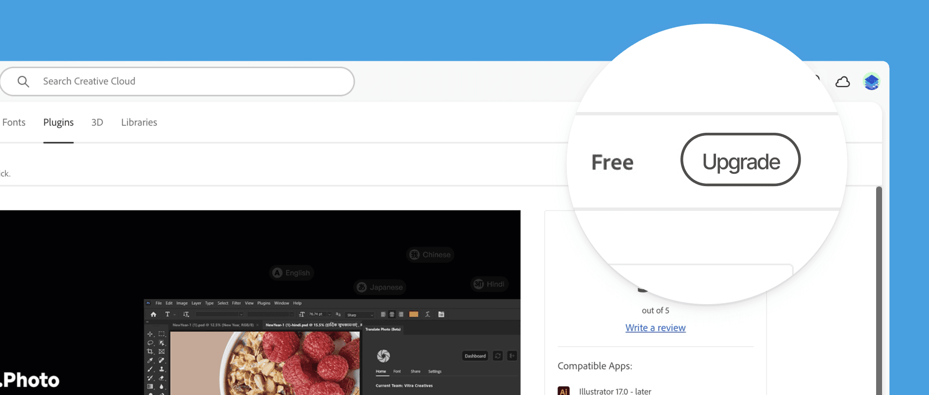 How to upgrade the plugin?